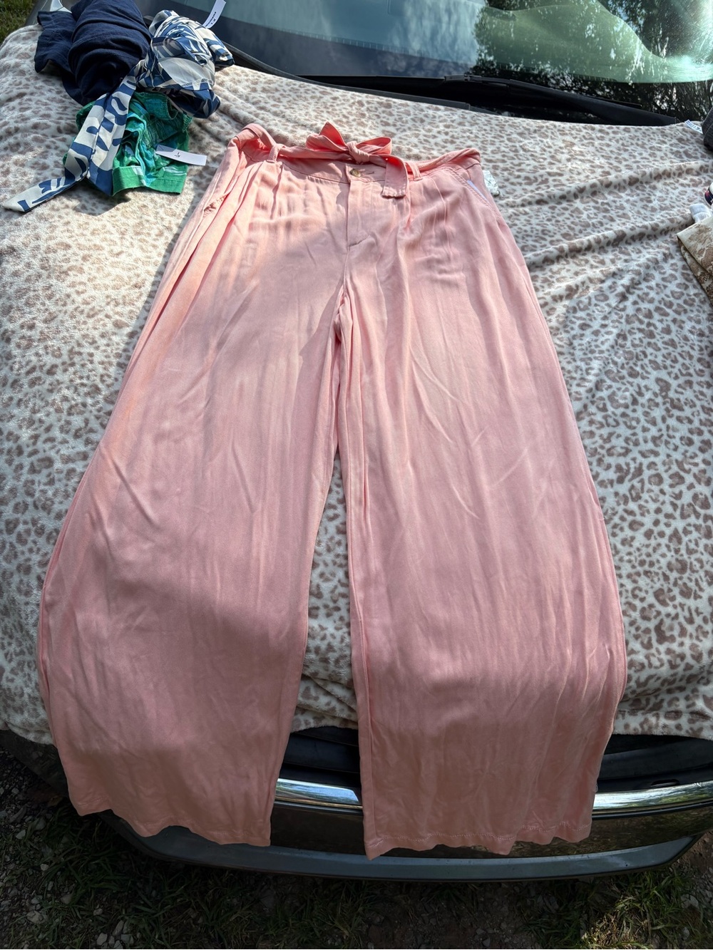 NWT Ana Peach Pink Wide Leg Paperbag Waist Pants Size 10 Boho Hippie